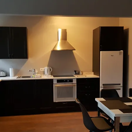 Reykjavik Rental Apartments Apartment Reykjavík