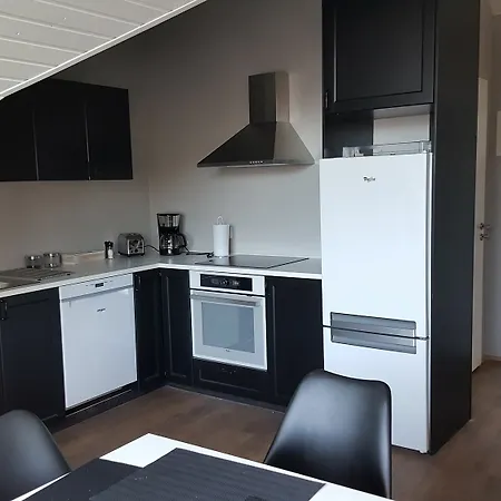 Reykjavik Rental Apartments Apartment