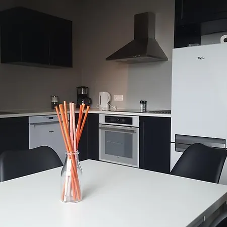 Апартаменты Reykjavik Rental Apartments
